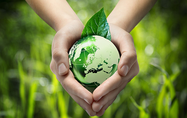 Glass globe in hands - green grass background