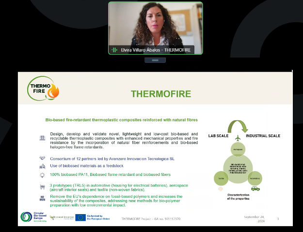 Screenshot of the presentation from Elvira Villaro