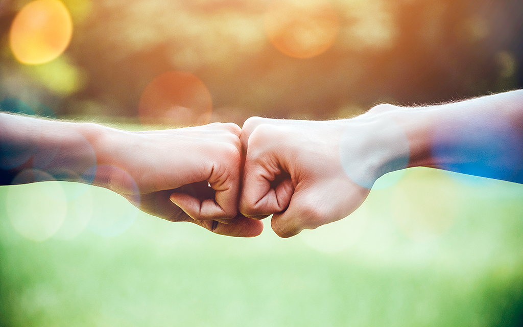 Two fists clasped together against a backdrop of nature, symbolising unity and teamwork.