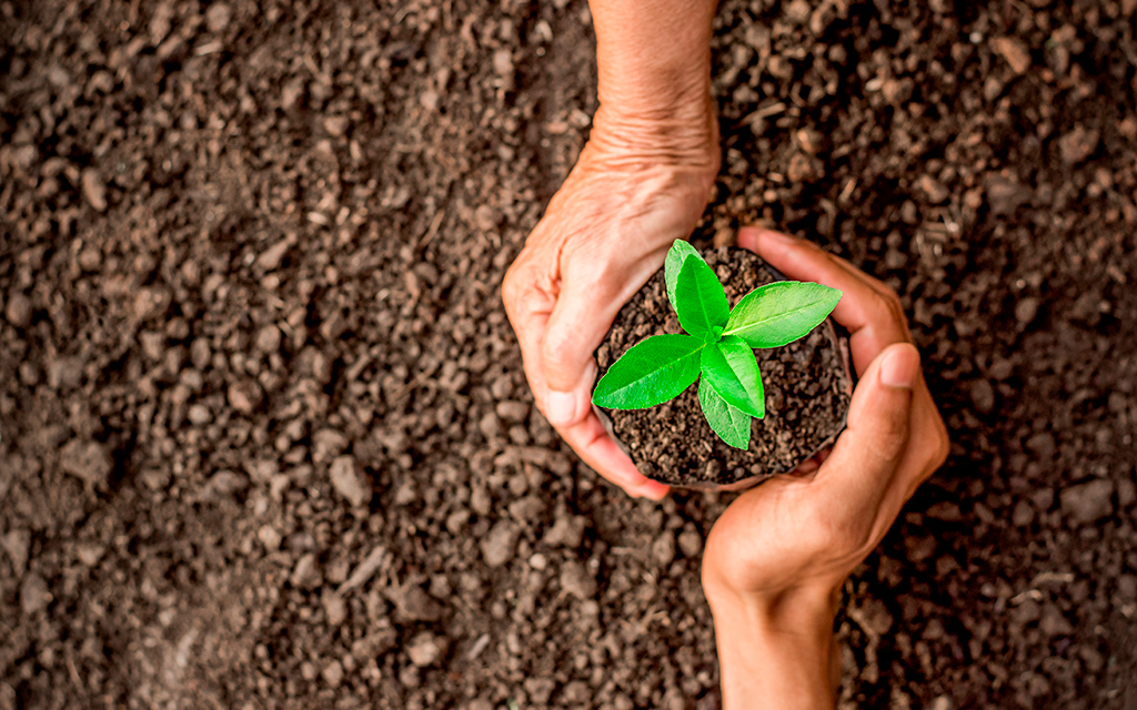 World Environment Day