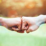 Two fists clasped together against a backdrop of nature, symbolising unity and teamwork.