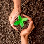 World Environment Day